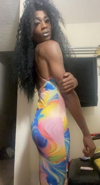 2525934065, transgender escort, Jacksonville