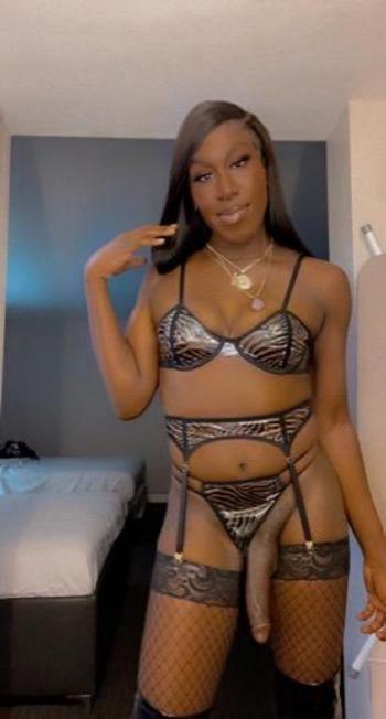 6783066203, transgender escort, Jacksonville
